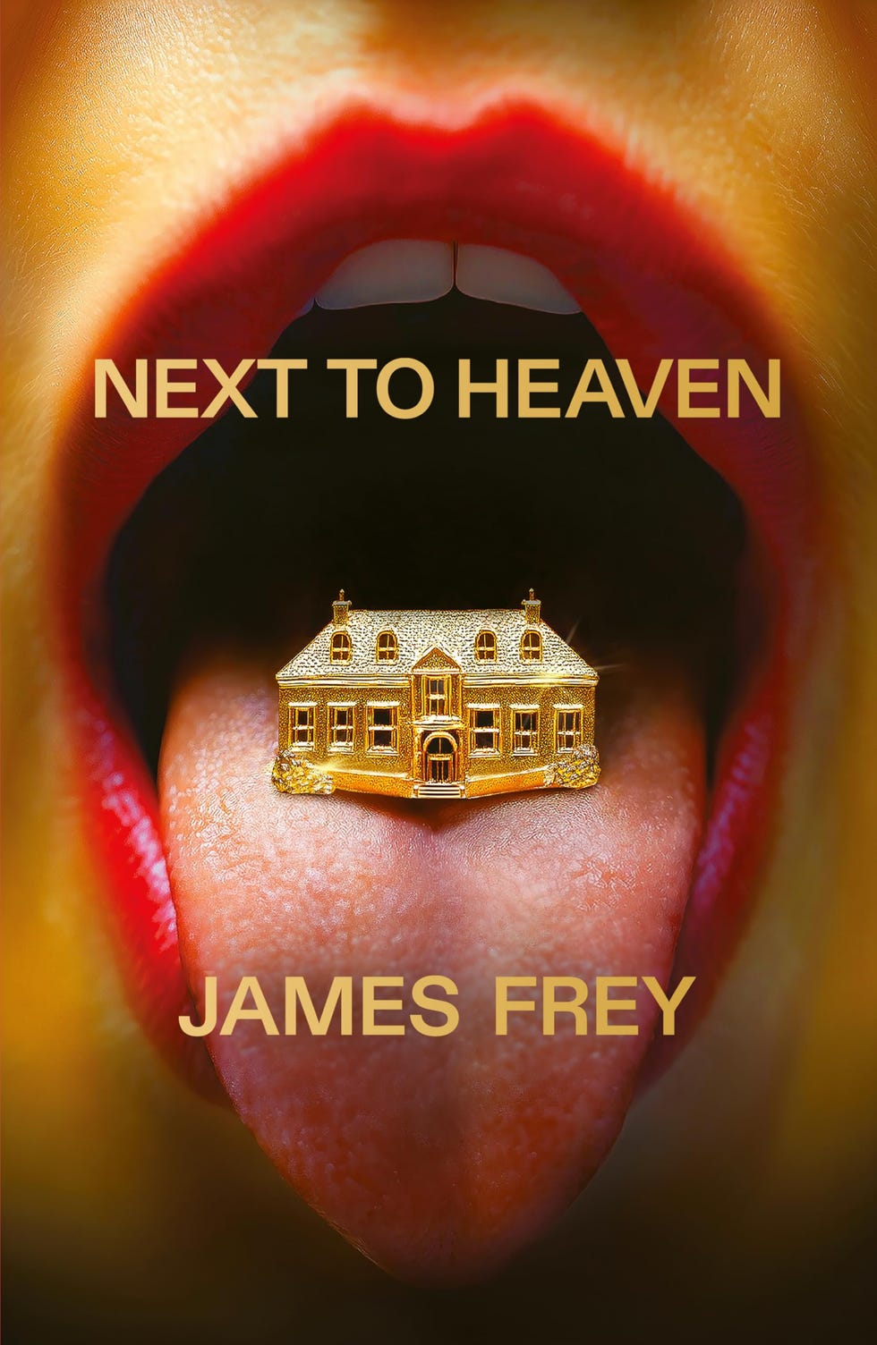 Next to Heaven, James Frey (out now)