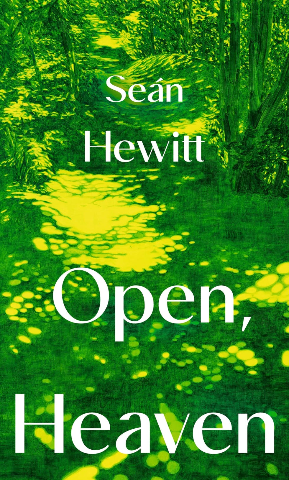 Open, Heaven, Seán Hewitt (out now)