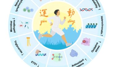 Mimicking the benefits of exercise with a single molecule