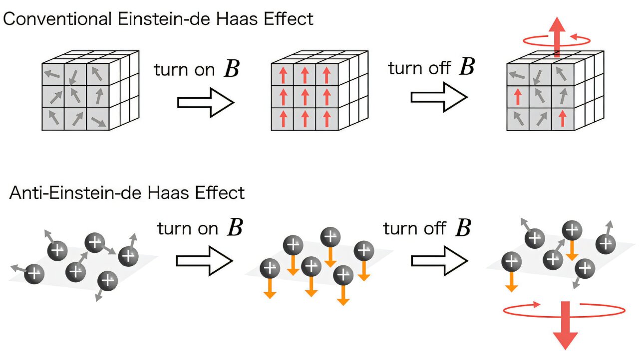 Strong magnetic fields flip angular momentum dynamics in magnetovortical matter
