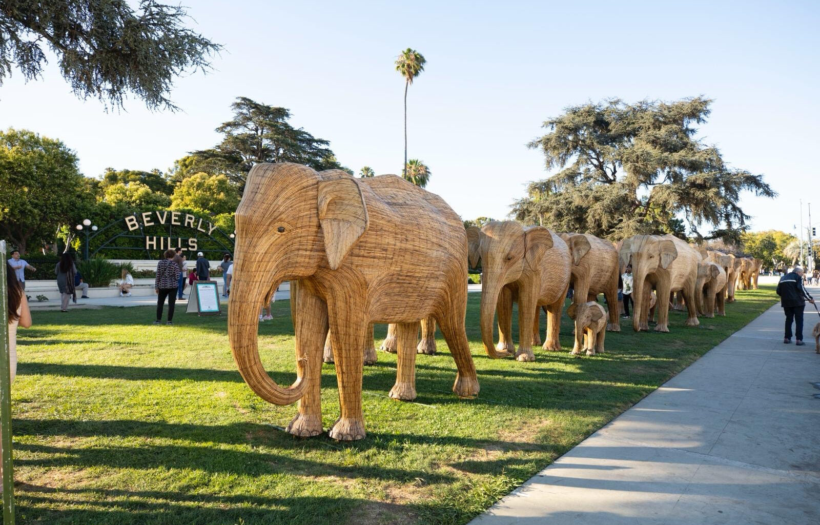 100 Life-Sized Elephants Arrive in Beverly Hills