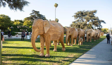 100 Life-Sized Elephants Arrive in Beverly Hills