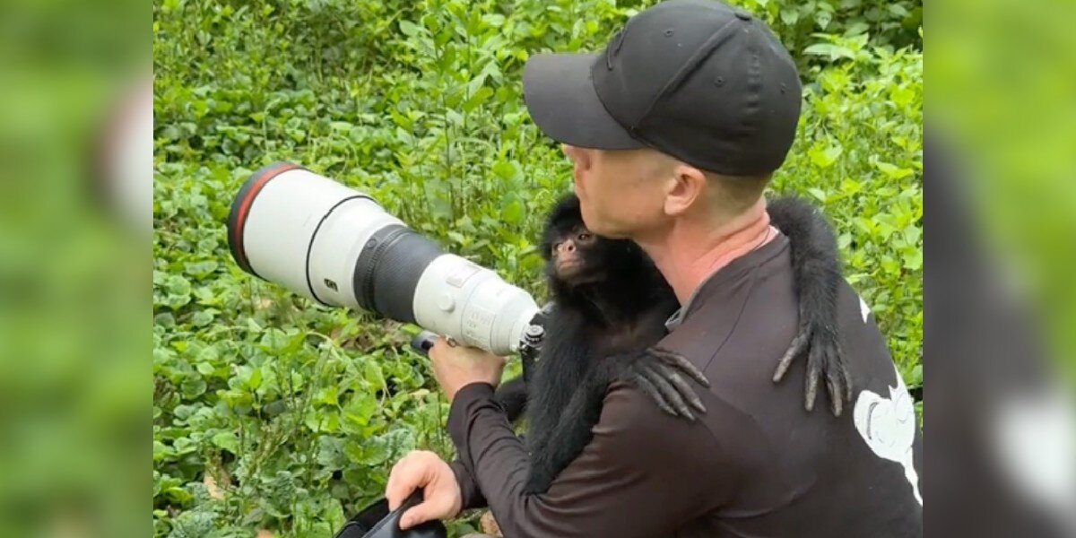 Monkey Immediately Recognizes Guy Who Helped Her 2 Years Later