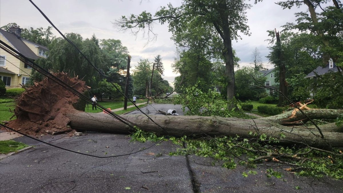 NJ storms kill 3 ahead of Fourth of July weekend – NBC New York