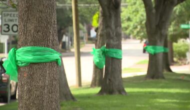 Dallas rallies for Texas flood victims amid ongoing recovery efforts