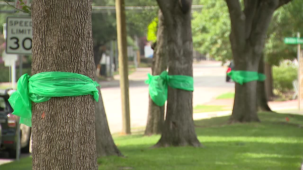 Dallas rallies for Texas flood victims amid ongoing recovery efforts