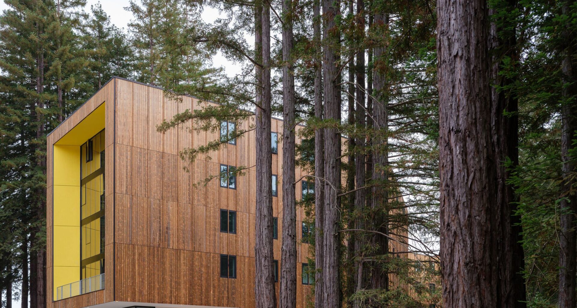 Kresge College Expansion / Studio Gang