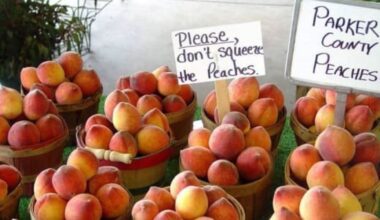 Peaches rule the 6 best food and drink events in Fort Worth