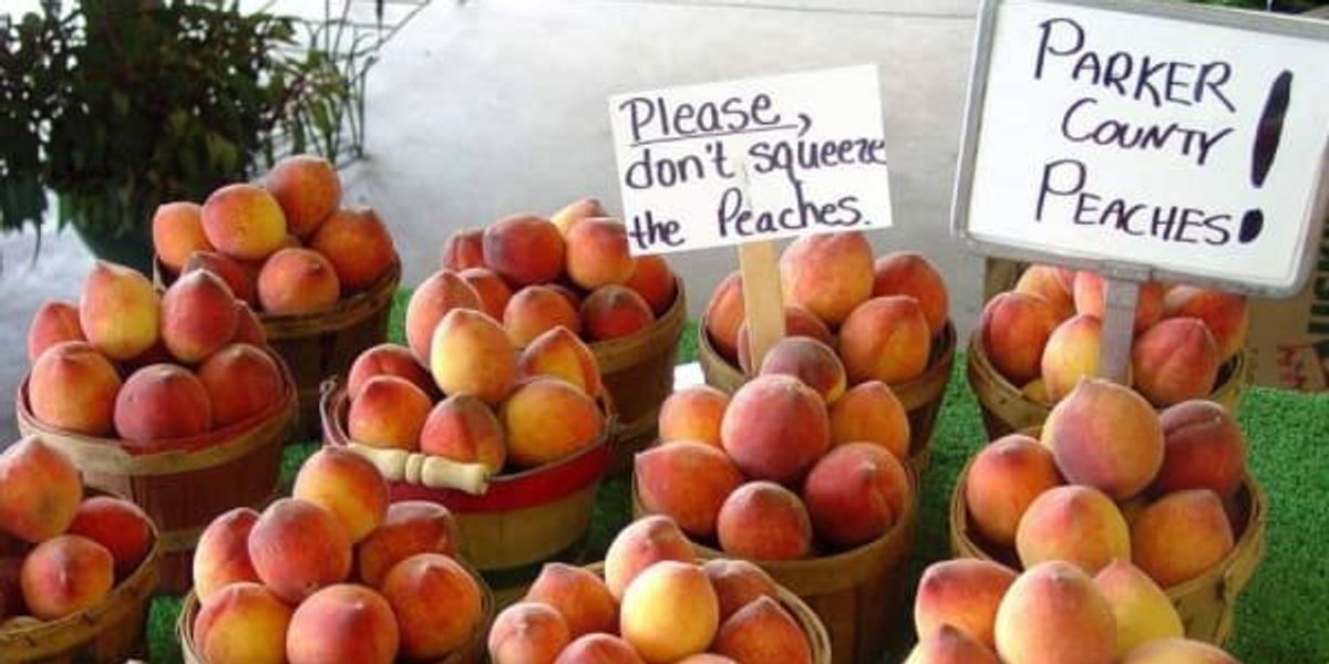 Peaches rule the 6 best food and drink events in Fort Worth