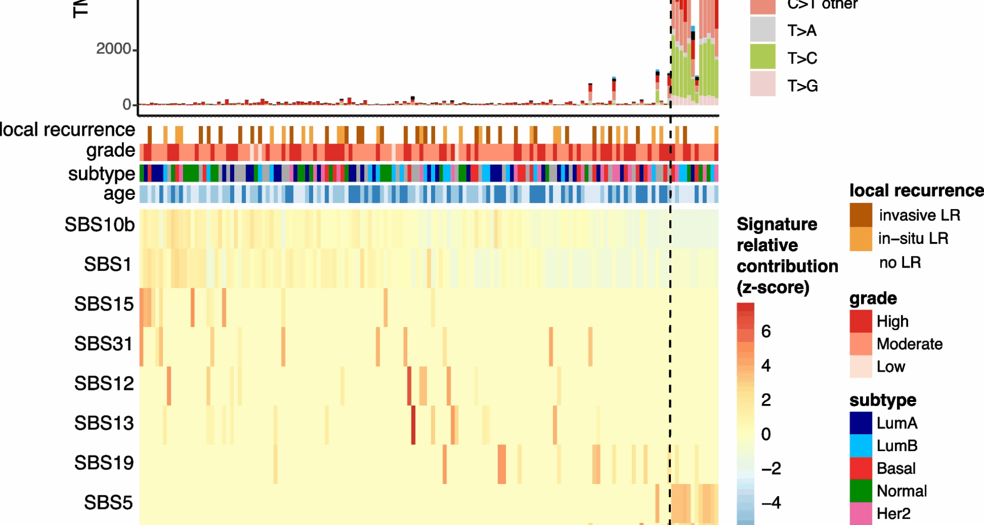 Mutational landscape of pure ductal carcinoma in situ and associations with disease prognosis and response to radiotherapy | Breast Cancer Research