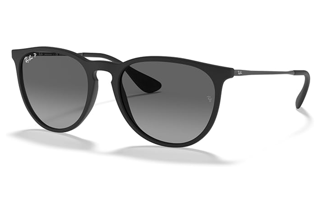 Ray-Ban Women's Erika Sunglasses