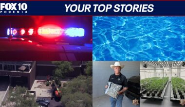 Family killed in plane crash; major marijuana bust in Phoenix | Nightly Roundup
