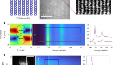 Visualization of atomic-scale magnetism achieved with new imaging method