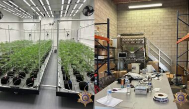 MCSO makes major illegal marijuana bust in Phoenix