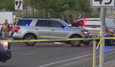 Woman and her dog killed by hit-and-run drivers: PD