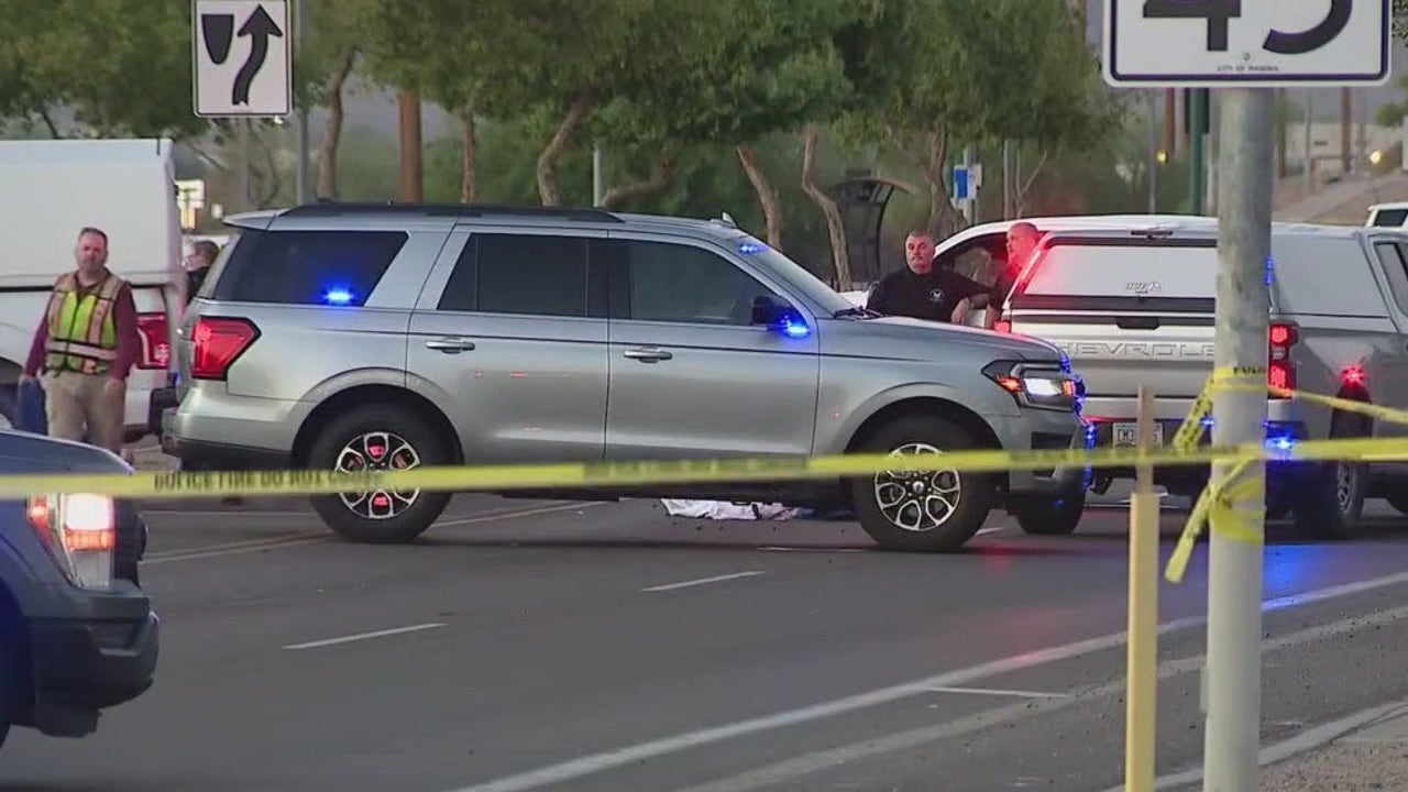 Woman and her dog killed by hit-and-run drivers: PD