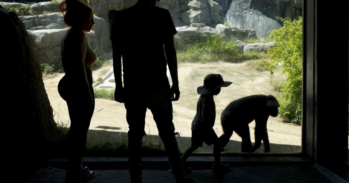 L.A. Zoo’s messy breakup comes 'with heartbreak and deja vu’