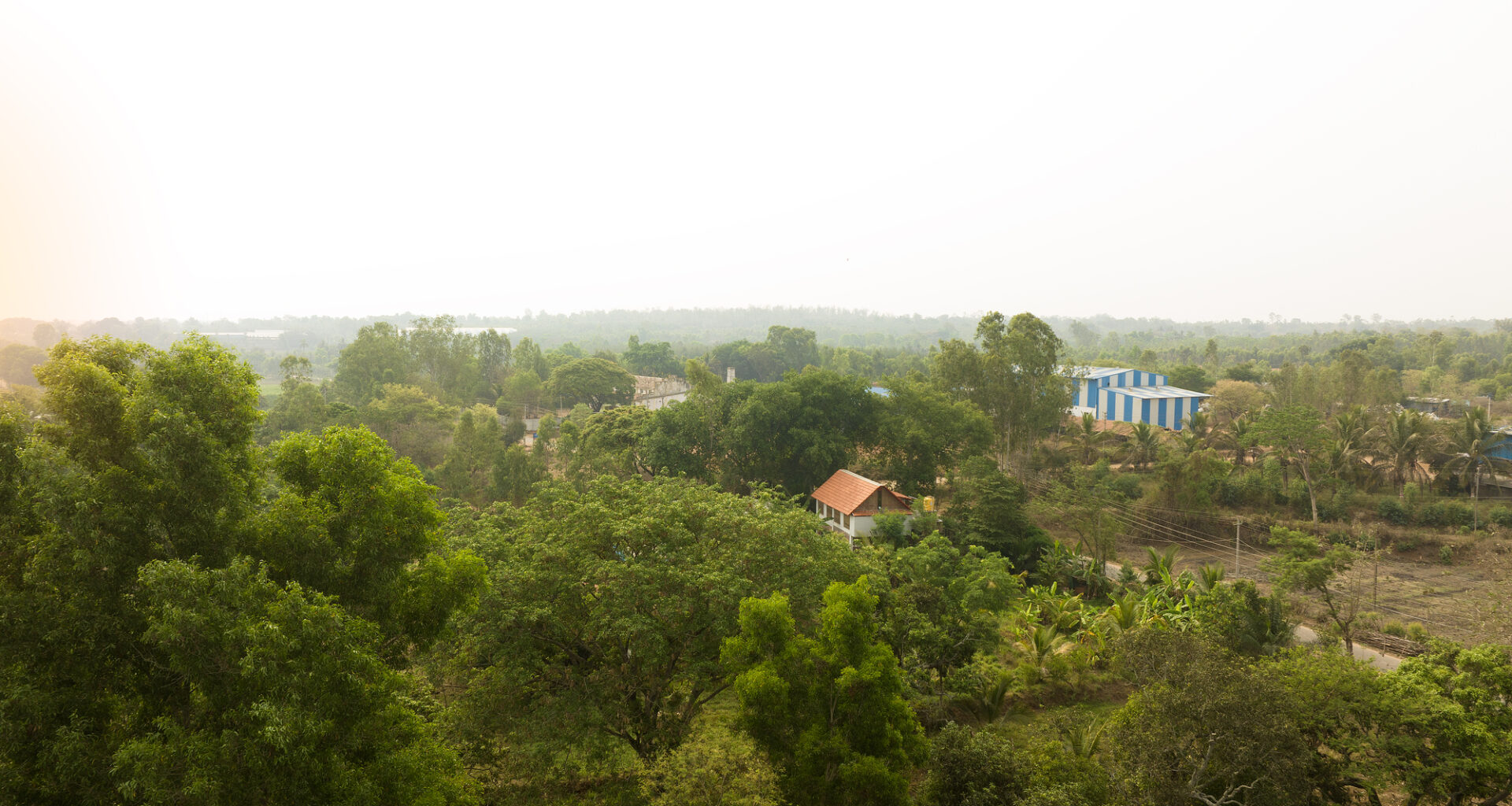 Rice Museum: Architecture Rooted in Rural Memory and Ecology