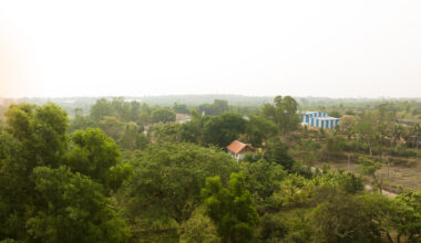 Rice Museum: Architecture Rooted in Rural Memory and Ecology