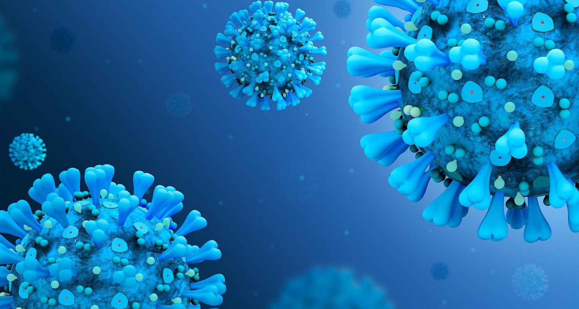 T-bet protein found essential for maintaining flu-fighting memory B cells