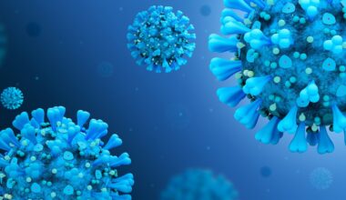 T-bet protein found essential for maintaining flu-fighting memory B cells