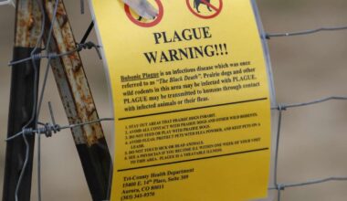 Northern Arizona resident dies from plague