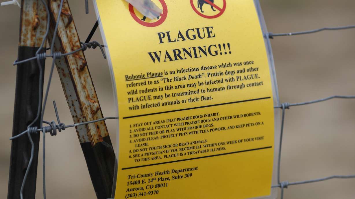 Northern Arizona resident dies from plague