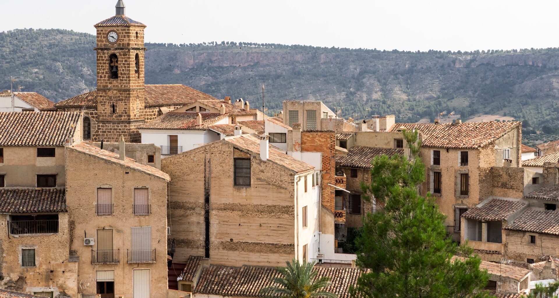 Shock as 3ft CROCODILE spotted swimming at reservoir in popular Spanish holiday hotspot