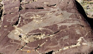 Study reveals how ancient elk rock art transformed from realistic to warped wolf-like beasts