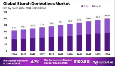 Starch Derivatives Market Size