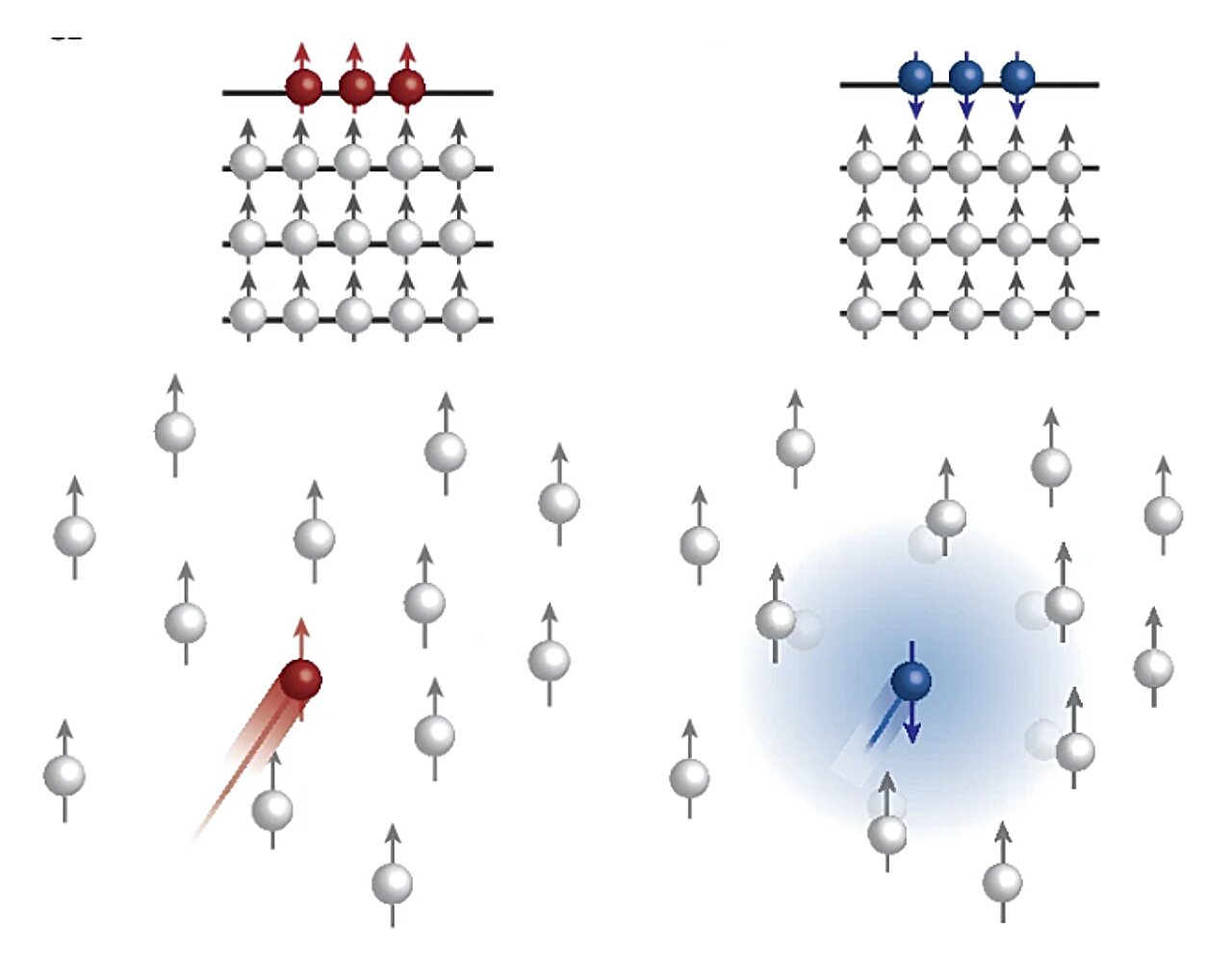 A new mechanism to realize spin-selective transport in tungsten diselenide