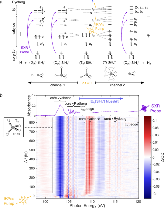 Attosecond X-ray spectroscopy reveals the competing stochastic and ballistic dynamics of a bifurcating Jahn–Teller dissociation
