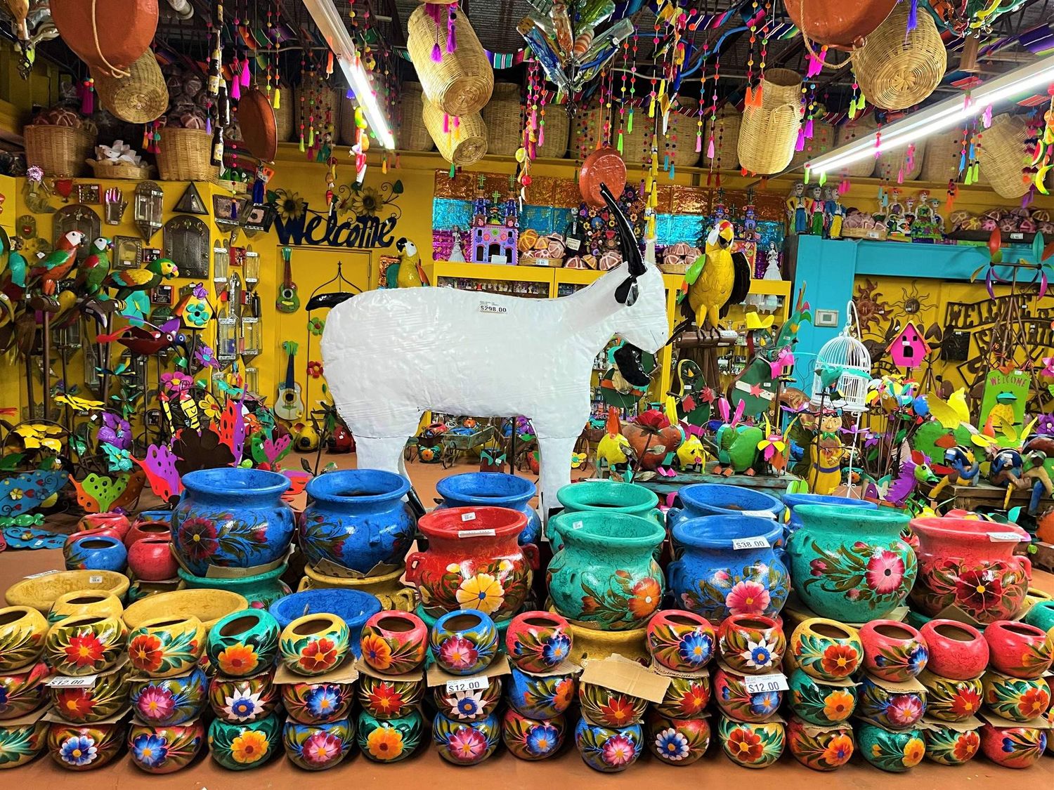 Fiesta at North Star