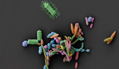 How common medications clear the way for pathogens