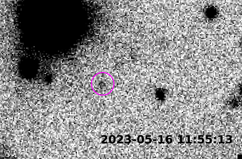 New world beyond Neptune discovered, giving boost to ‘Planet Nine’ theory