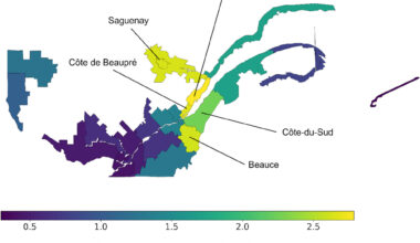 Quebec's hereditary cancer gene linked to one ancestor