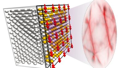 Scientists successfully develop half metal material that conducts single-spin electrons