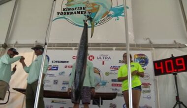 Greater Jacksonville Kingfish Tournament: 45 Years of Tradition
