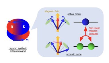 Rabi-like splitting arises from nonlinear interactions between magnons in synthetic antiferromagnet