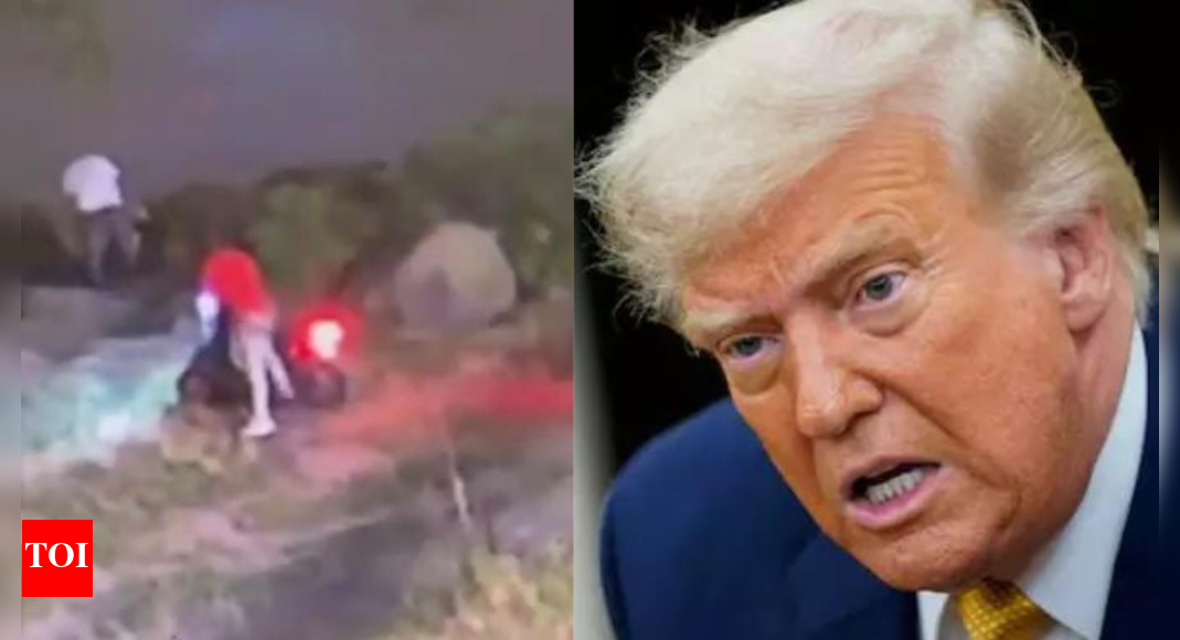 Border agent shot in NYC park: Suspect had deportation order; Trump blames Biden policy