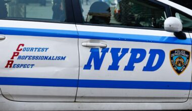 Man arrested after setting fire to nearly a dozen NYPD vehicles