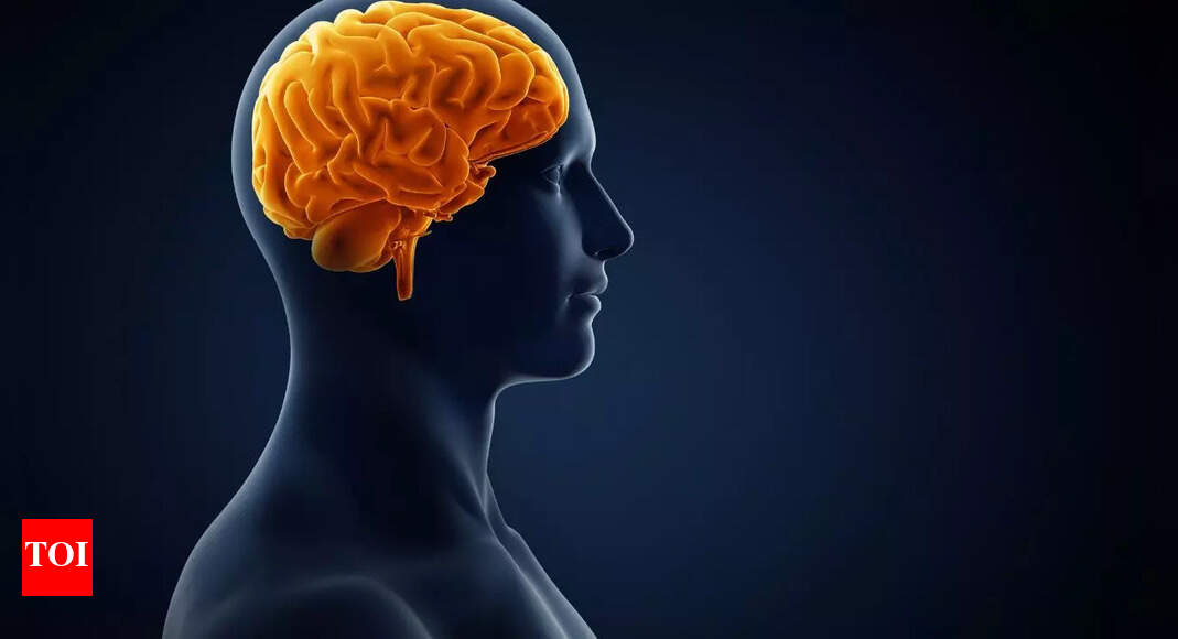 World Brain Day 2025: Harvard says these 12 habits can keep your brain young and sharp |