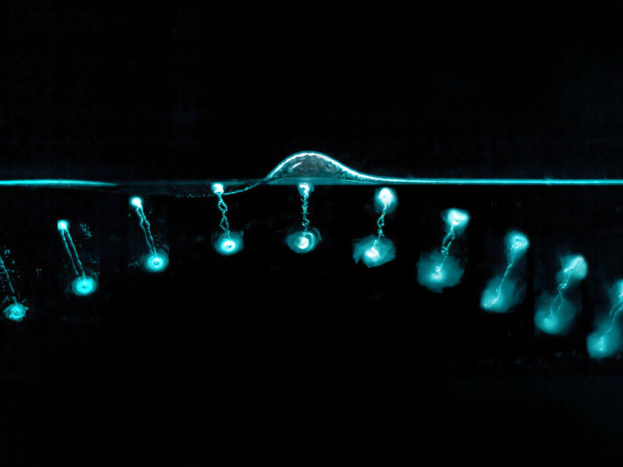 How do water rings 'bounce?' New discovery answers decades-old question
