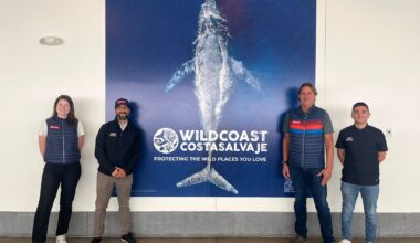 CBX teams up with WILDCOAST to protect coastal ecosystems