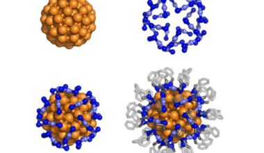 Gold clusters mimic atomic spin properties for scalable quantum computing applications