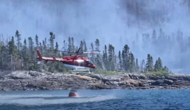 Only 3 wildfires now burning across N.L., as rain helps quell blazes