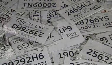 Undocumented immigrant gets 5 years in prison for fake Texas car tag scheme