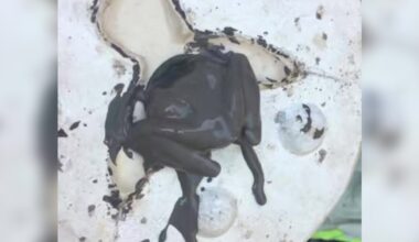 Ceramicist Sees Something Stuck In His Mold — Then Realizes They’re Legs