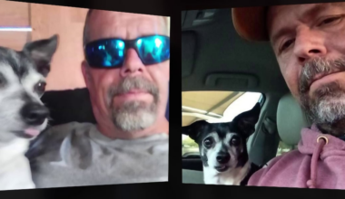 Phoenix-area family seeks justice in dad’s death, looking for dog lost before assault