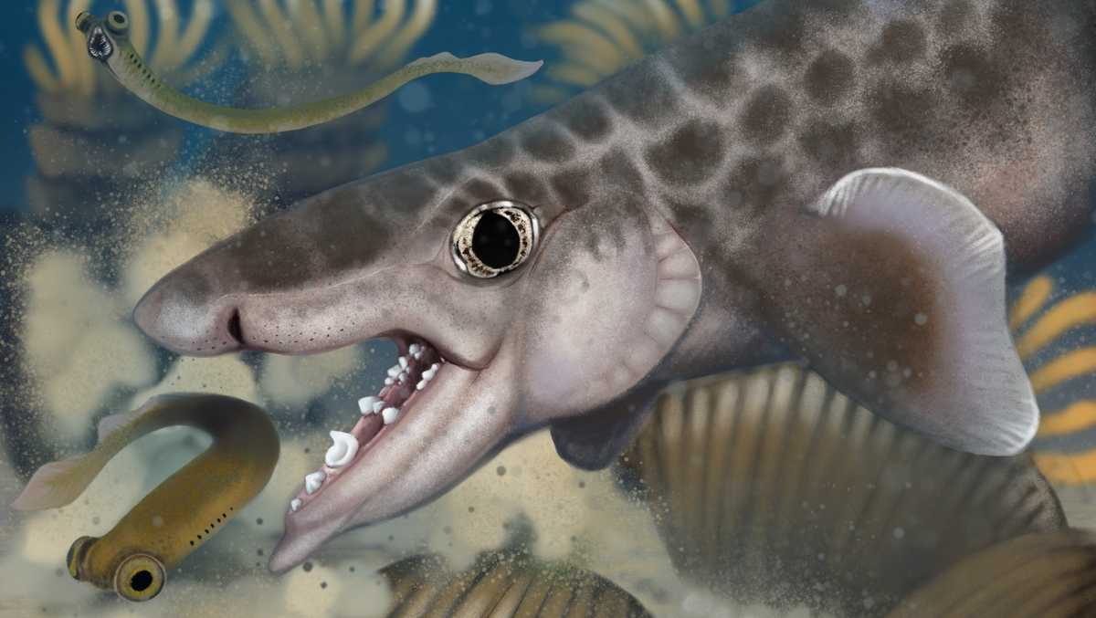 New shark species discovered inside Mammoth Cave National Park